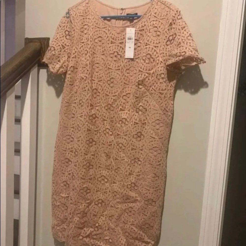Ann Taylor Dress NWT!  Size 14
